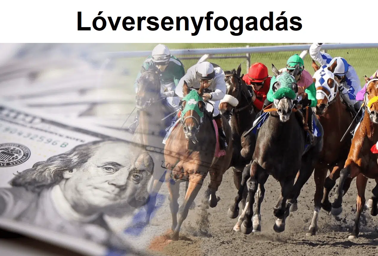 Lóverseny fogadási