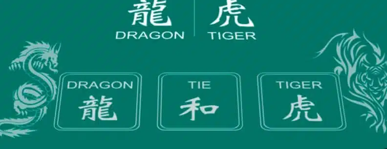 Tiger & Dragon